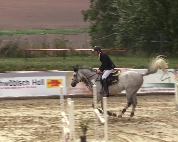Reitturnier Buchenhof-Ibbenbüren 2018