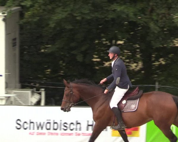 Reitturnier Buchenhof-Ibbenbüren 2018