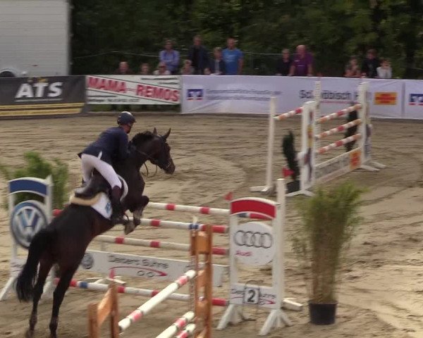 Reitturnier Buchenhof-Ibbenbüren 2018