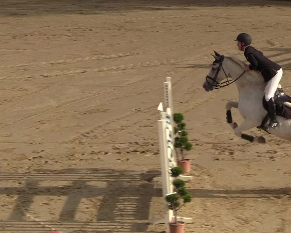 Reitturnier Buchenhof-Ibbenbüren 2018