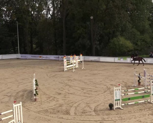 Reitturnier Buchenhof-Ibbenbüren 2018