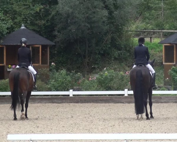 Reitturnier Mettmann - Reitanlage Löckenhoff 2018