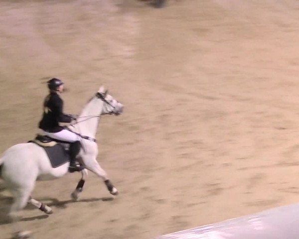 Reitturnier Buchenhof-Ibbenbüren 2018