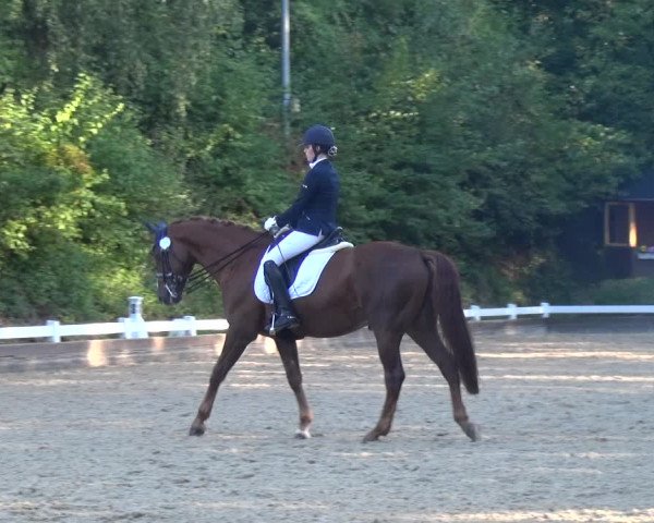 Reitturnier Mettmann - Reitanlage Löckenhoff 2018