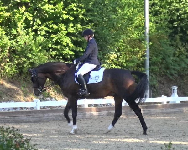 Reitturnier Mettmann - Reitanlage Löckenhoff 2018