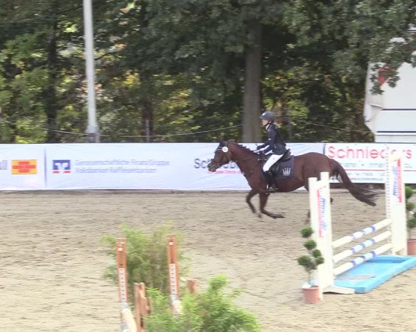 Reitturnier Buchenhof-Ibbenbüren 2018