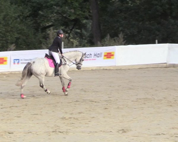Reitturnier Buchenhof-Ibbenbüren 2018