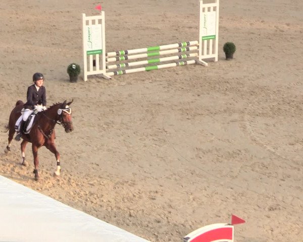 Reitturnier Buchenhof-Ibbenbüren 2018