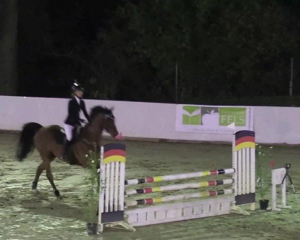 Reitturnier Buchenhof-Ibbenbüren 2018