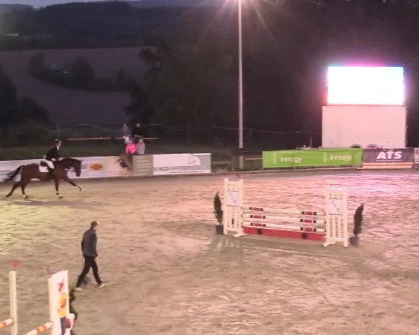 Reitturnier Buchenhof-Ibbenbüren 2018