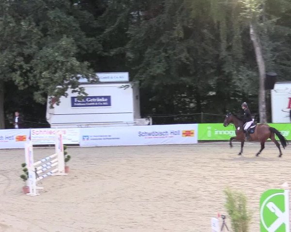 Reitturnier Buchenhof-Ibbenbüren 2018