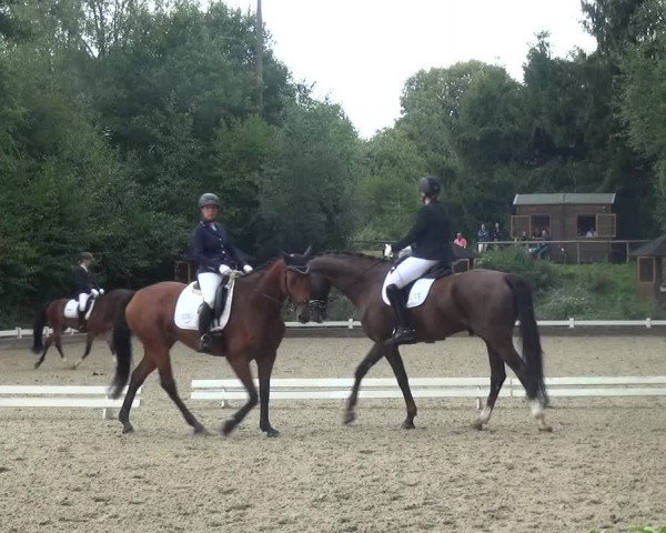 Reitturnier Mettmann - Reitanlage Löckenhoff 2018