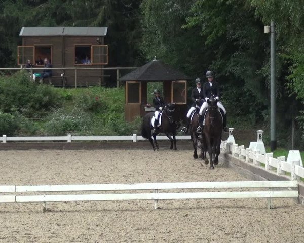 Reitturnier Mettmann - Reitanlage Löckenhoff 2018