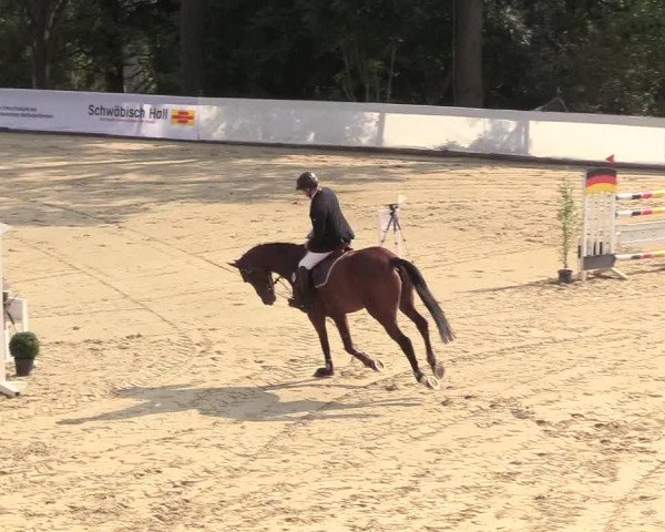 Reitturnier Buchenhof-Ibbenbüren 2018