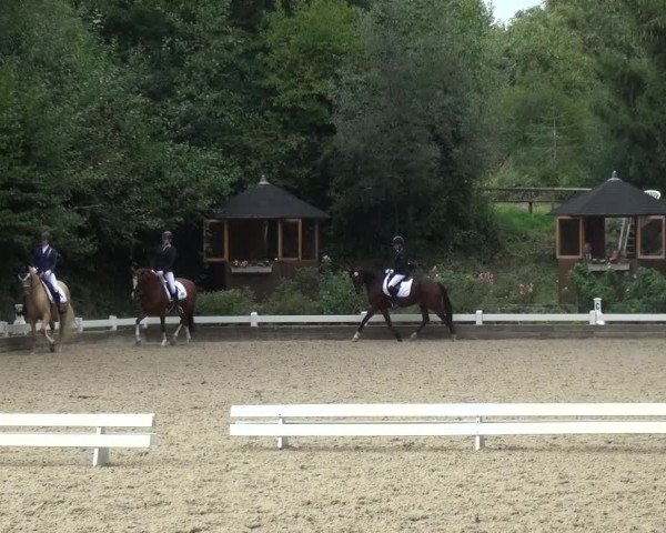 Reitturnier Mettmann - Reitanlage Löckenhoff 2018