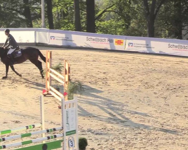Reitturnier Buchenhof-Ibbenbüren 2018