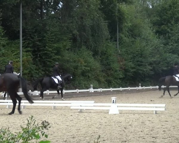 Reitturnier Mettmann - Reitanlage Löckenhoff 2018