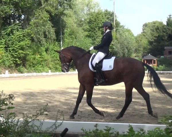 Reitturnier Mettmann - Reitanlage Löckenhoff 2018