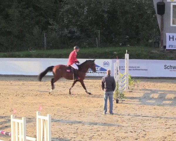 Reitturnier Buchenhof-Ibbenbüren 2018