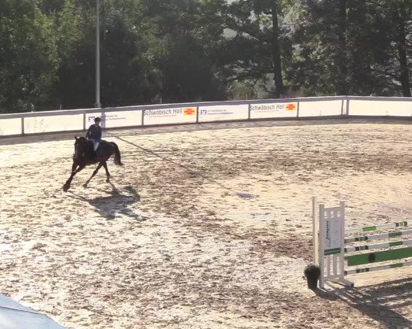 Reitturnier Buchenhof-Ibbenbüren 2018