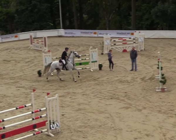 Reitturnier Buchenhof-Ibbenbüren 2018