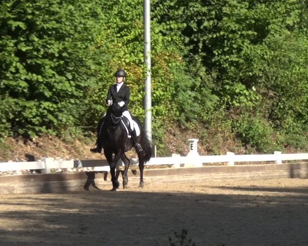 Reitturnier Mettmann - Reitanlage Löckenhoff 2018