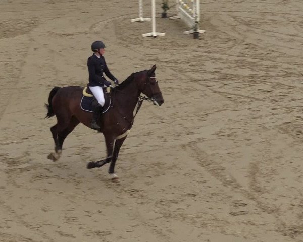 Reitturnier Buchenhof-Ibbenbüren 2018