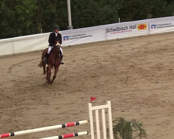 Reitturnier Buchenhof-Ibbenbüren 2018