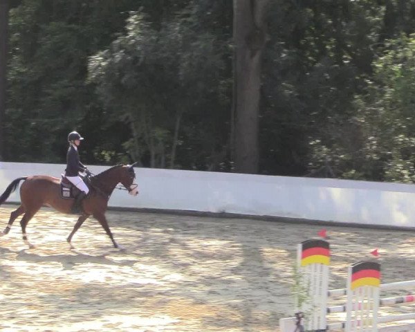 Reitturnier Buchenhof-Ibbenbüren 2018