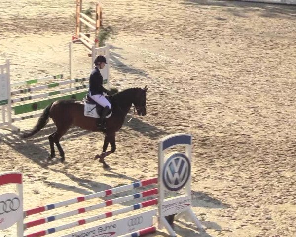 Reitturnier Buchenhof-Ibbenbüren 2018