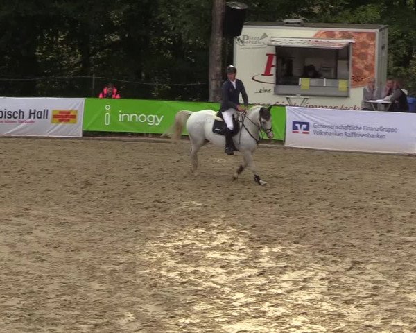 Reitturnier Buchenhof-Ibbenbüren 2018