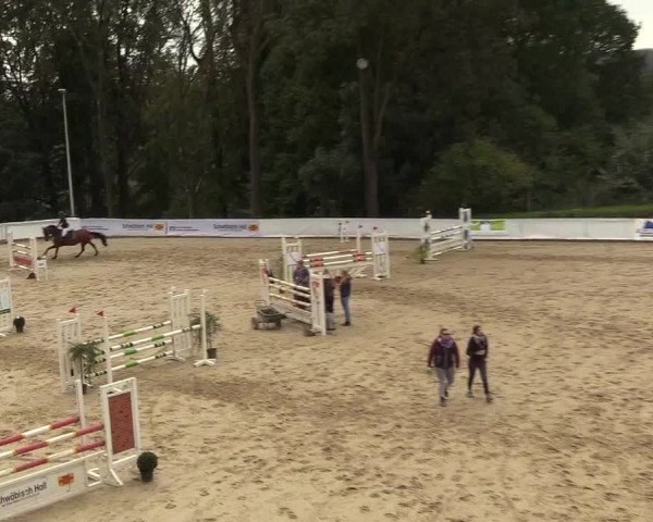 Reitturnier Buchenhof-Ibbenbüren 2018