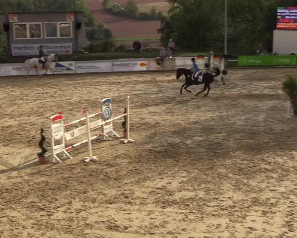 Reitturnier Buchenhof-Ibbenbüren 2018