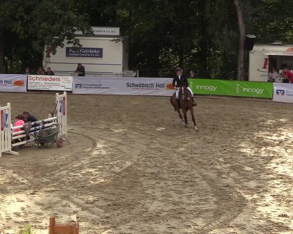 Reitturnier Buchenhof-Ibbenbüren 2018