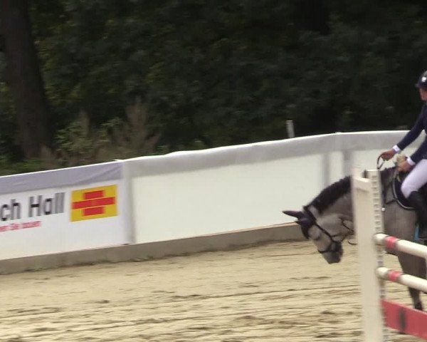 Reitturnier Buchenhof-Ibbenbüren 2018