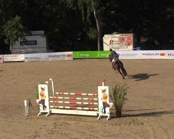 Reitturnier Buchenhof-Ibbenbüren 2018