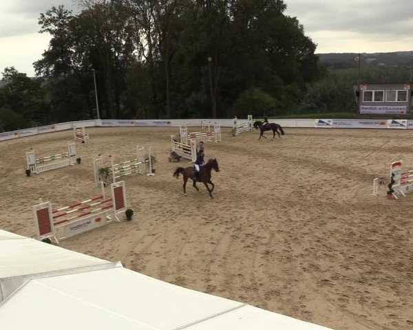 Reitturnier Buchenhof-Ibbenbüren 2018