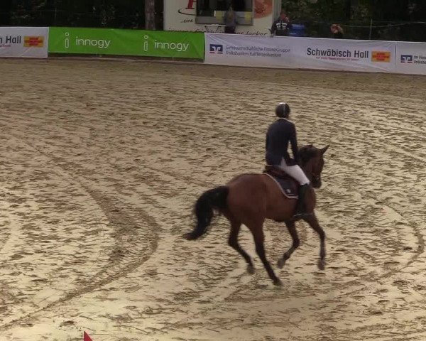 Reitturnier Buchenhof-Ibbenbüren 2018