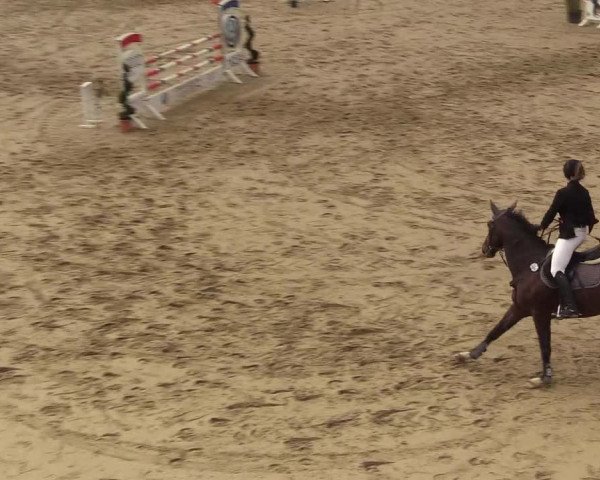 Reitturnier Buchenhof-Ibbenbüren 2018