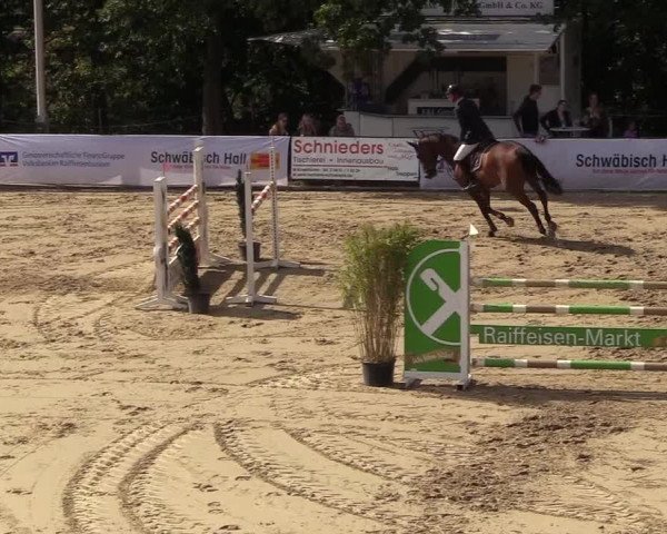 Reitturnier Buchenhof-Ibbenbüren 2018