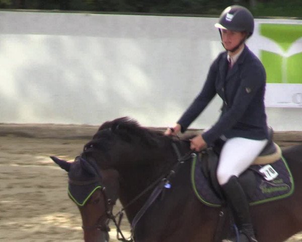 Reitturnier Buchenhof-Ibbenbüren 2018