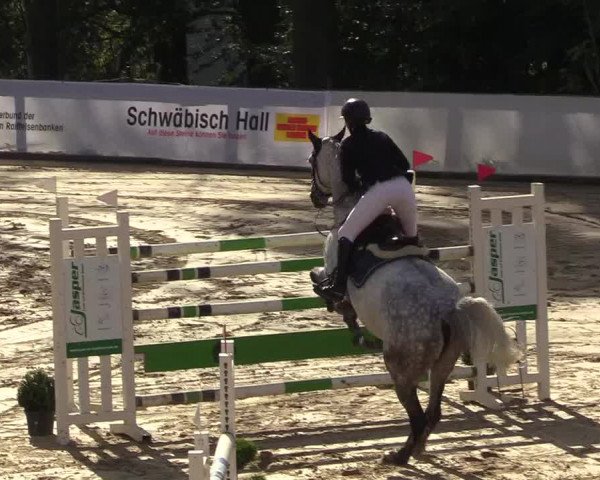 Reitturnier Buchenhof-Ibbenbüren 2018