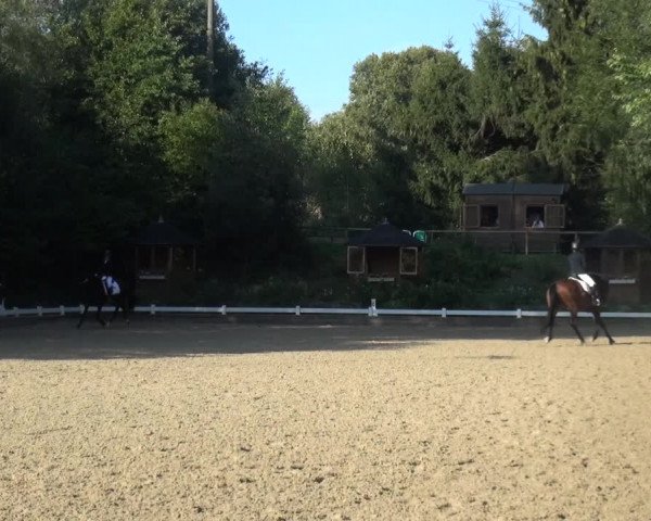 Reitturnier Mettmann - Reitanlage Löckenhoff 2018