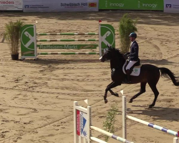 Reitturnier Buchenhof-Ibbenbüren 2018