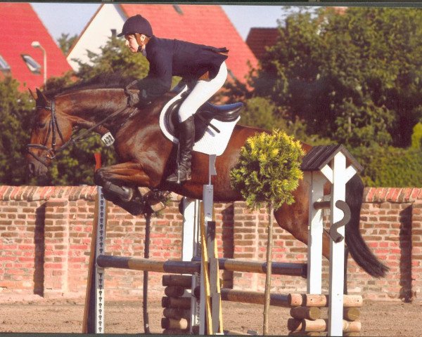 jumper Samira (Hanoverian, 2005, from Stakkato) jumper Samira (Hanoverian, 2005, from Stakkato)