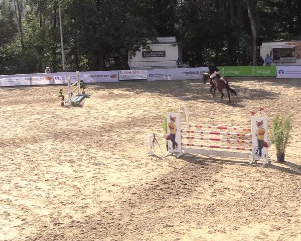 Reitturnier Buchenhof-Ibbenbüren 2018