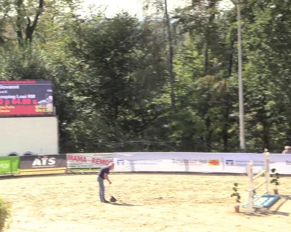 Reitturnier Buchenhof-Ibbenbüren 2018