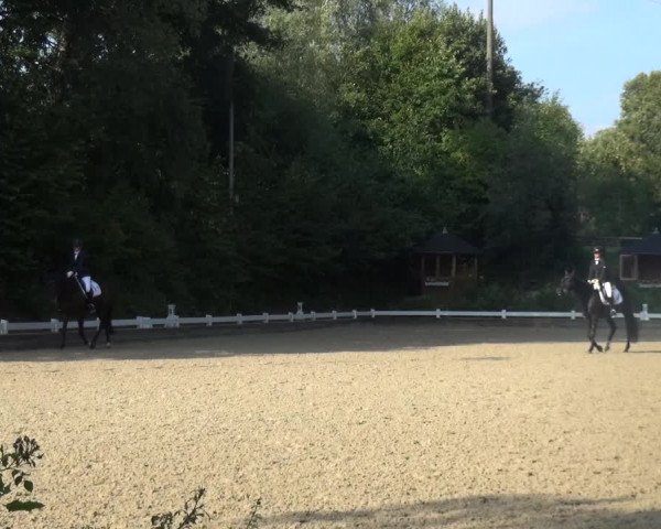Reitturnier Mettmann - Reitanlage Löckenhoff 2018