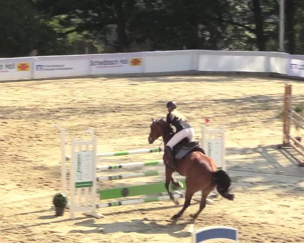 Reitturnier Buchenhof-Ibbenbüren 2018