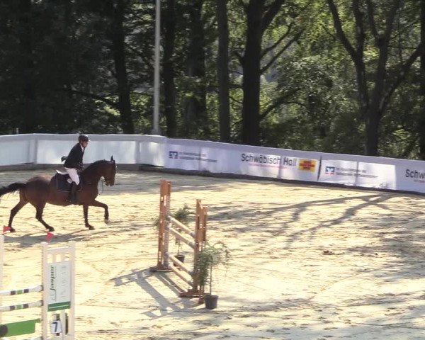 Reitturnier Buchenhof-Ibbenbüren 2018
